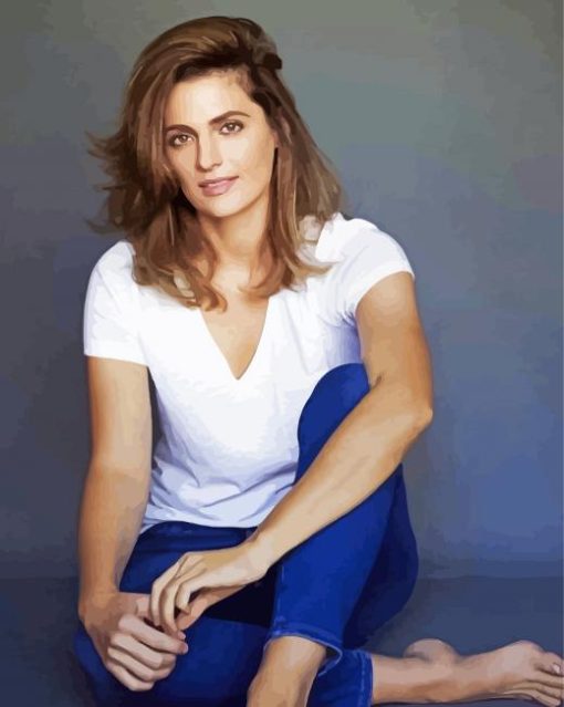 Actress Stana Katic diamond painting