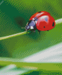 Aesthetic Ladybird diamond painting