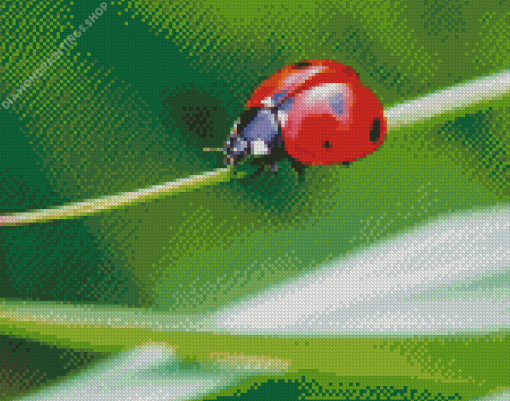 Aesthetic Ladybird diamond painting