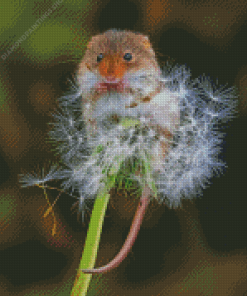 Aesthetic Mouse And Dandelion diamond painting