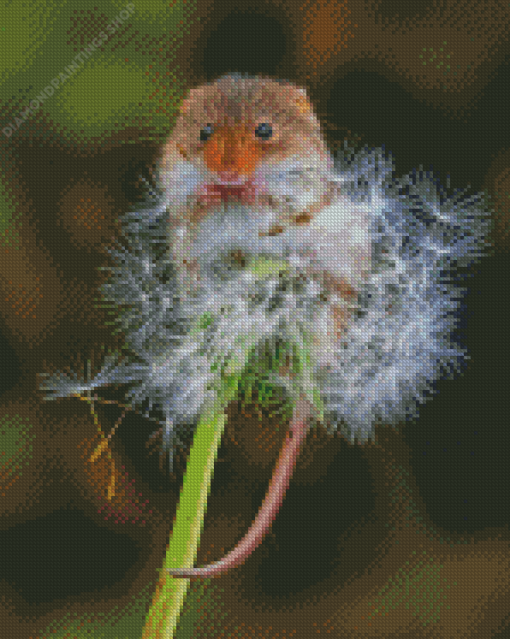 Aesthetic Mouse And Dandelion diamond painting