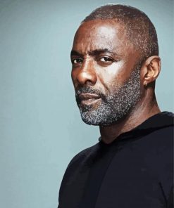 Aesthetic Idris Elba Actor diamond painting