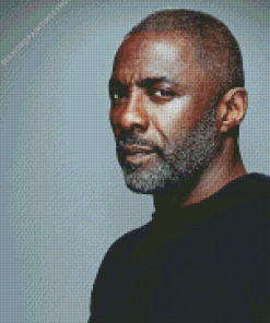 Aesthetic Idris Elba Actor diamond painting