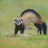 Aesthetic Polecat diamond painting