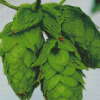 Beautiful Hop Plant diamond painting