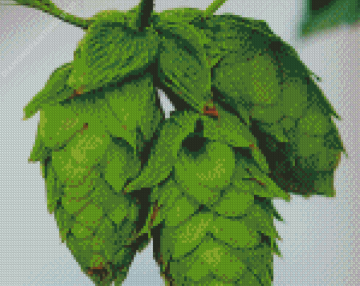 Beautiful Hop Plant diamond painting