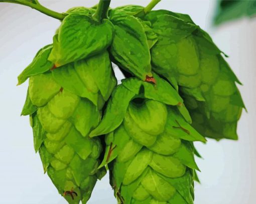 Beautiful Hop Plant diamond painting