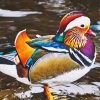Beautiful Mandarin Duck diamond painting