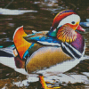 Beautiful Mandarin Duck diamond painting