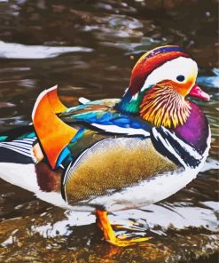 Beautiful Mandarin Duck diamond painting