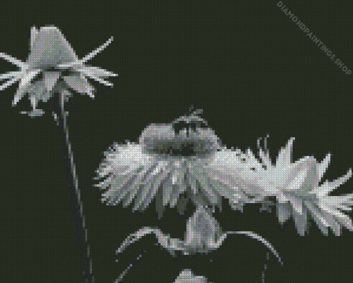 Black And White Flowers And Bees diamond painting