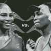 Black And White Williams Sisters diamond painting