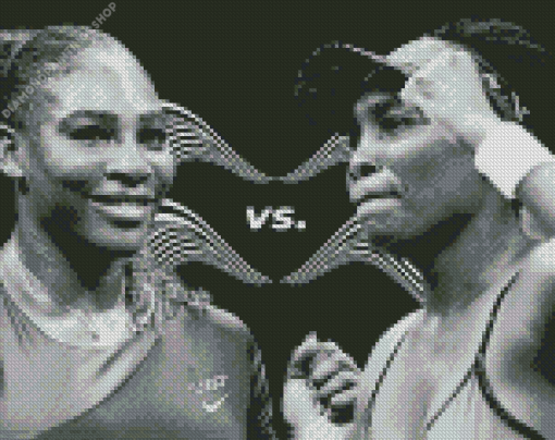 Black And White Williams Sisters diamond painting