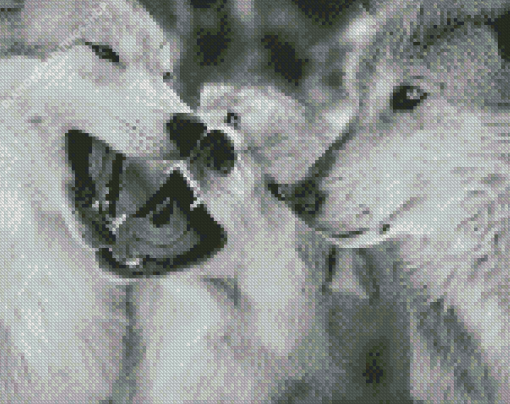 Black And White Wolves Face To Face diamond painting