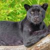 Black Jaguar On Tree diamond painting