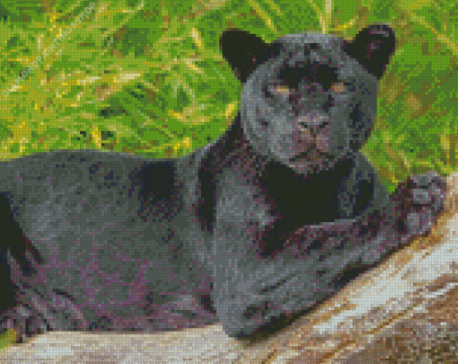 Black Jaguar On Tree diamond painting