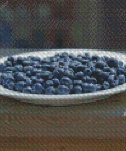 Blueberry Plate On Patio diamond painting