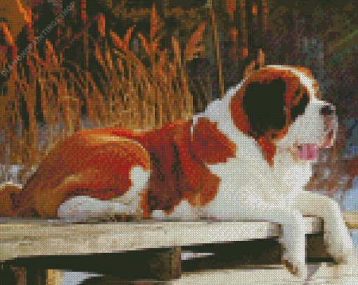 Brown St Bernard Dog diamond painting