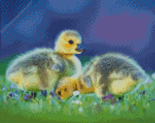 Canada Geese Goslings Birds diamond painting