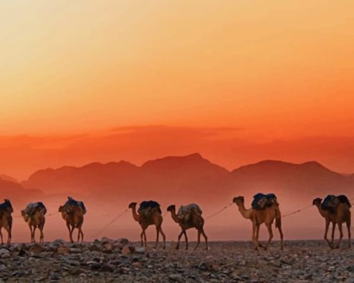 Ethiopian Desert Camels diamond painting