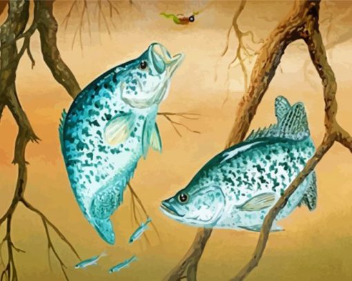 Finshing Crappie Fishes diamond painting
