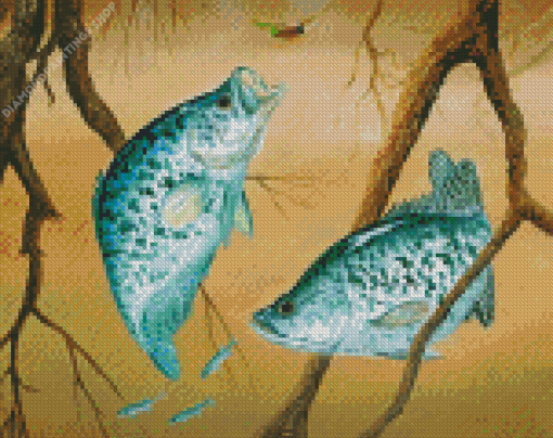 Finshing Crappie Fishes diamond painting
