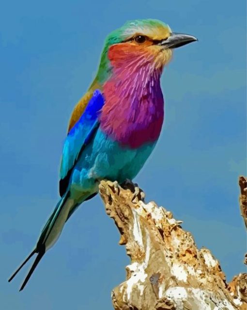 Lilac Breasted Roller Bird diamond painting