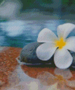 Plumeria Flower In Water diamond painting