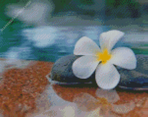 Plumeria Flower In Water diamond painting