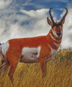 Pronghorn Animal diamond painting