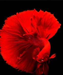 Red Elegant Fish diamond painting