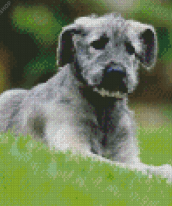 Aesthetic Irish Wolfhound Puppy diamond painting