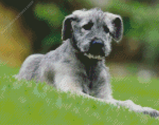 Aesthetic Irish Wolfhound Puppy diamond painting