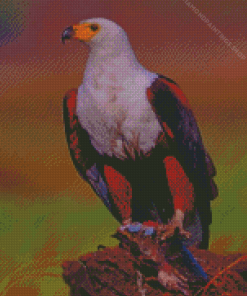 African Fish Eagle diamond painting