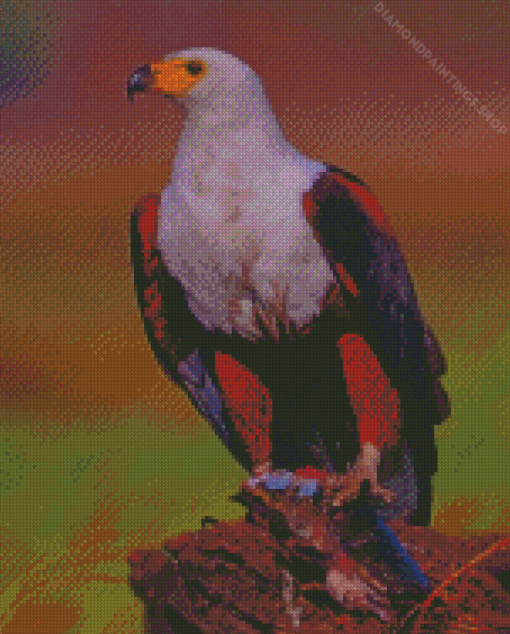 African Fish Eagle diamond painting