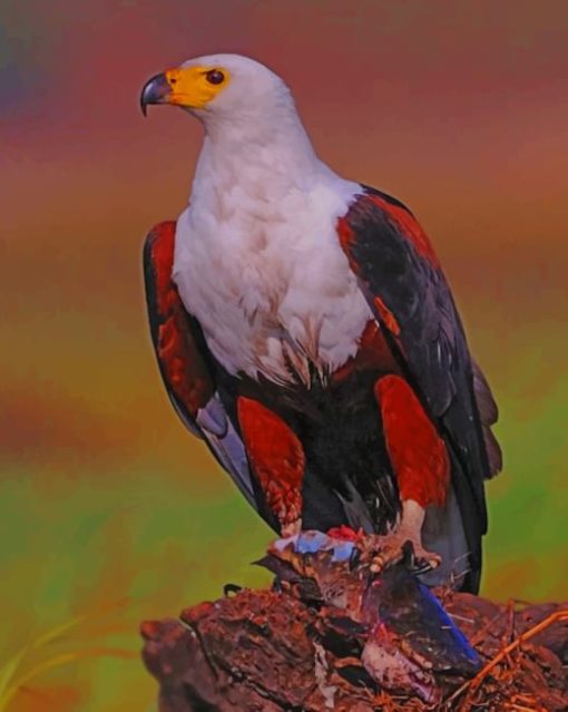 African Fish Eagle diamond painting