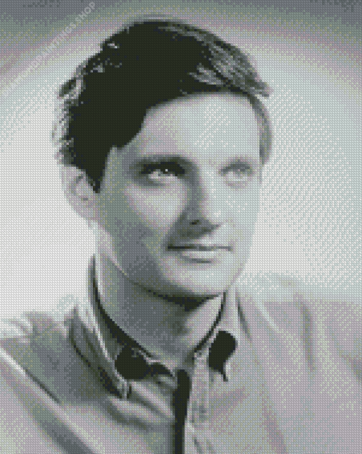 Black And White Young Alan Alda diamond painting