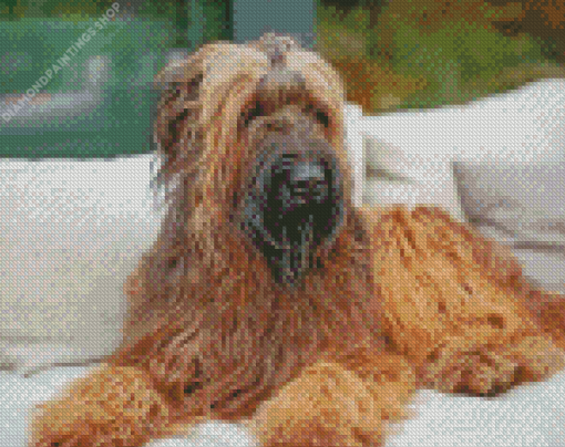 Briard Dog diamond painting