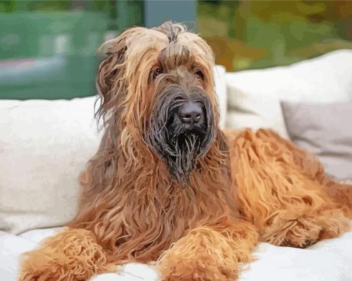 Briard Dog diamond painting