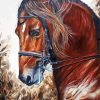 Brown Horse Head Art diamond painting