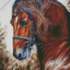 Brown Horse Head Art diamond painting