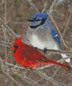 Cardinal And Blue Jay In Snow diamond painting