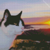 Cat Animal And Sunset diamond painting