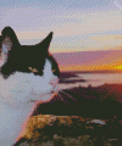 Cat Animal And Sunset diamond painting