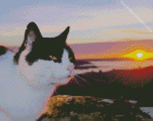 Cat Animal And Sunset diamond painting