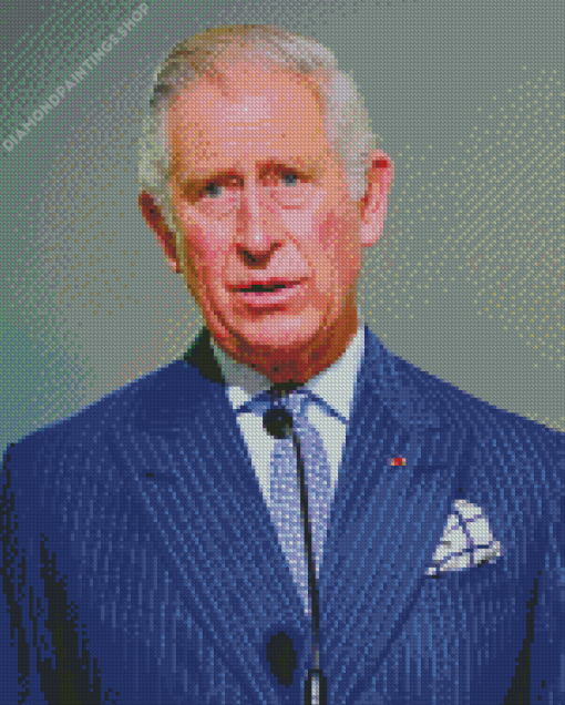 Charles Prince Of Wales diamond painting