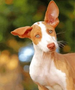 Cute Podenco Dog diamond painting