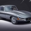 Grey Jaguar Type 1 diamond painting