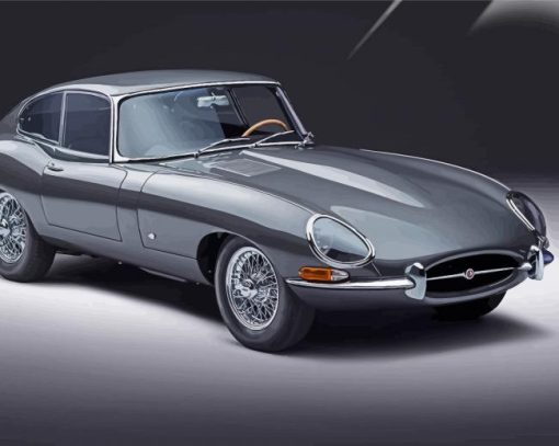 Grey Jaguar Type 1 diamond painting