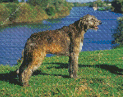 Irish Wolfhounds diamond painting
